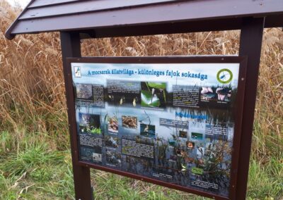 A mocsarak állatvilága