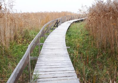 A tanösvény hosszú cölöphídján