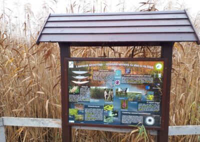 Tábla a mocsarak növényvilágáról