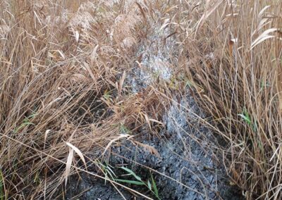 Pillantás a patakra