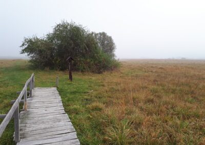 A cölöphíd véget ér