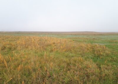 Folytatjuk a Sóvirág tanösvényen