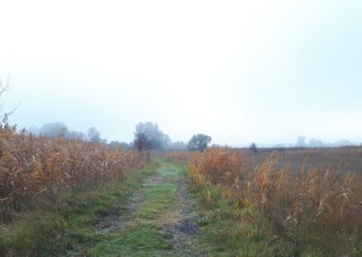 Szép körsétát teszünk