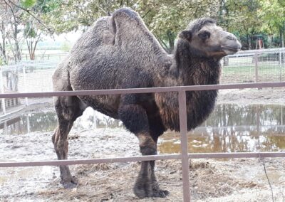 Újra kint nagy eső után