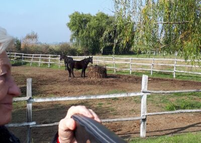 Kezdődik a lovaskocsikázás