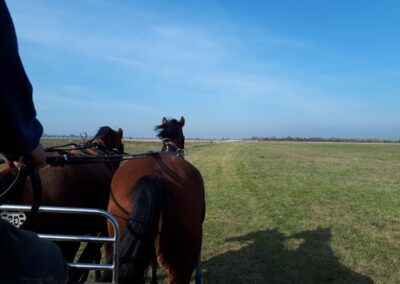 Kiérünk a határba