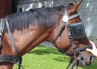 Nekik is megköszönjük