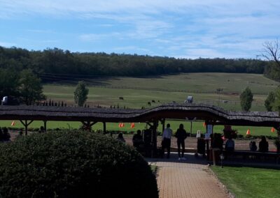 Gödöllői-dombság