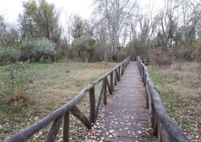 Száraz lábbal a turjánosba